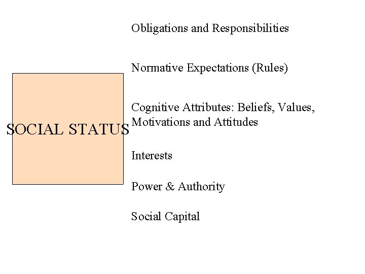 Obligations and Responsibilities Normative Expectations (Rules) SOCIAL STATUS Cognitive Attributes: Beliefs, Values, Motivations and