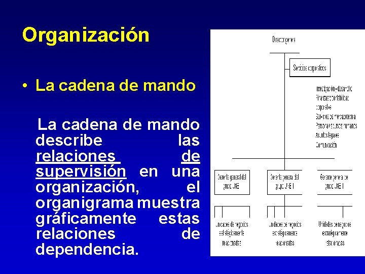 Organización • La cadena de mando describe las relaciones de supervisión en una organización, Organización • La cadena de mando describe las relaciones de supervisión en una organización,