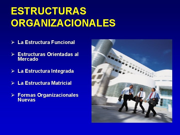 ESTRUCTURAS ORGANIZACIONALES Ø La Estructura Funcional Ø Estructuras Orientadas al Mercado Ø La Estructura ESTRUCTURAS ORGANIZACIONALES Ø La Estructura Funcional Ø Estructuras Orientadas al Mercado Ø La Estructura