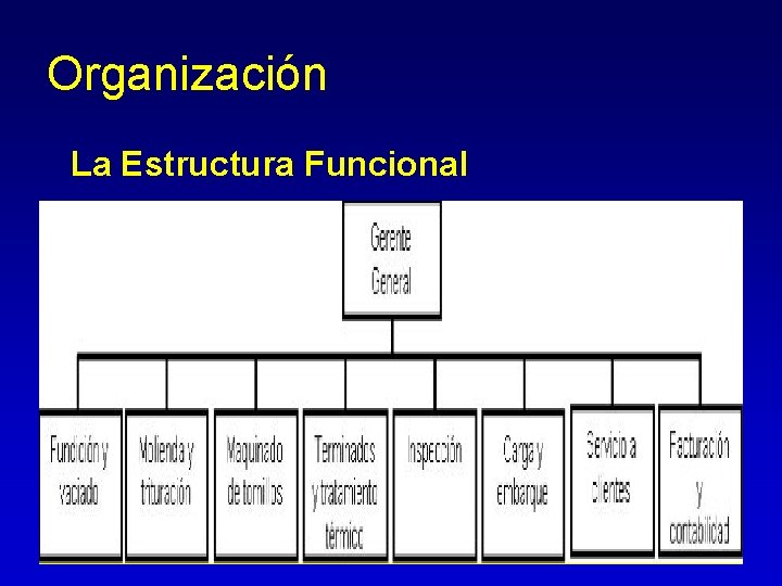 Organización La Estructura Funcional Organización La Estructura Funcional