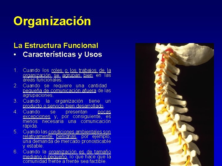 Organización La Estructura Funcional • Características y Usos 1. Cuando los roles o los Organización La Estructura Funcional • Características y Usos 1. Cuando los roles o los