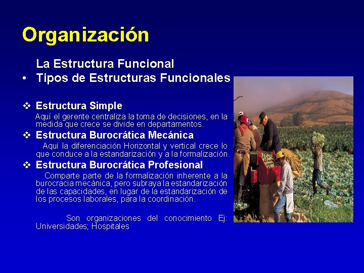Organización La Estructura Funcional • Tipos de Estructuras Funcionales v Estructura Simple Aquí el Organización La Estructura Funcional • Tipos de Estructuras Funcionales v Estructura Simple Aquí el