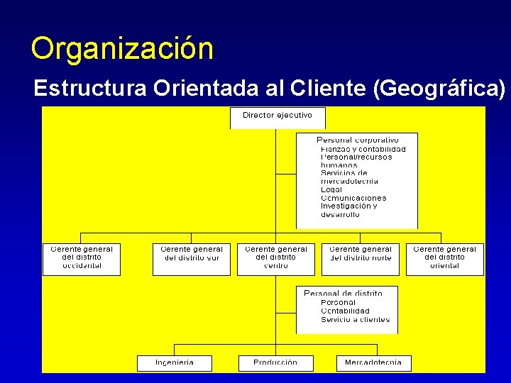 Organización Estructura Orientada al Cliente (Geográfica) Organización Estructura Orientada al Cliente (Geográfica)