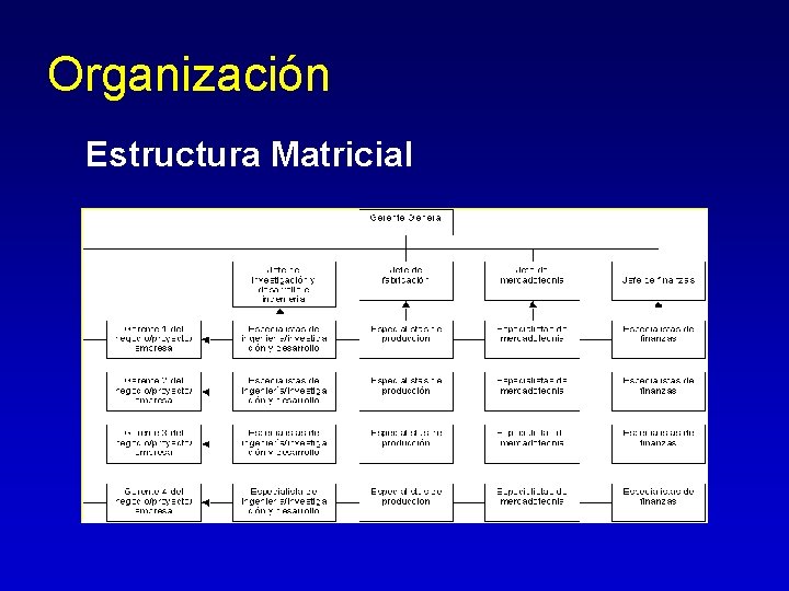 Organización Estructura Matricial Organización Estructura Matricial