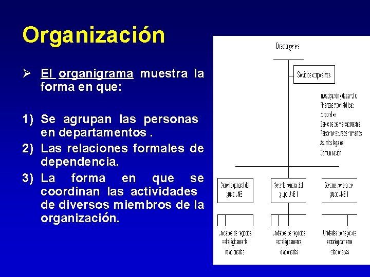Organización Ø El organigrama muestra la forma en que: 1) Se agrupan las personas Organización Ø El organigrama muestra la forma en que: 1) Se agrupan las personas