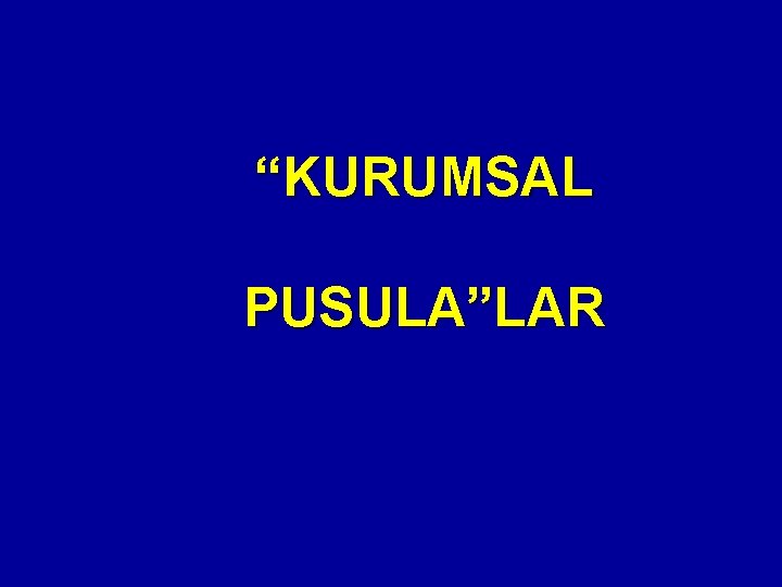 “KURUMSAL PUSULA”LAR 