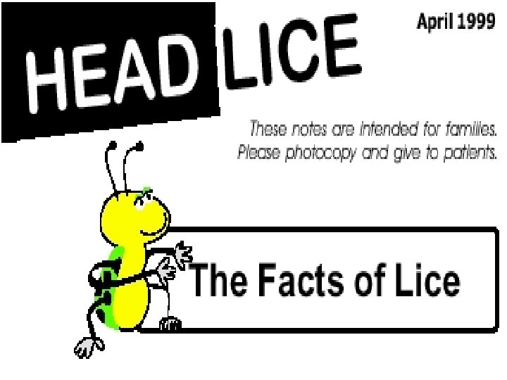 Head Lice Pediculosis Capitis 