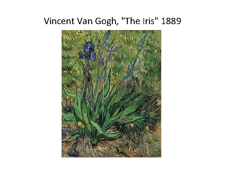 Vincent Van Gogh, "The Iris" 1889 