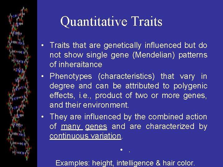 Quantitative Traits • Traits that are genetically influenced but do not show single gene