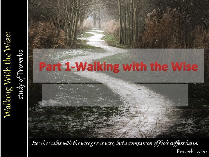 study of Proverbs Walking With the Wise: Part 1 -Walking with the Wise He