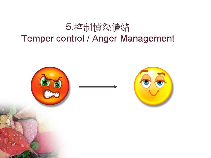 5. 控制憤怒情緒 Temper control / Anger Management 