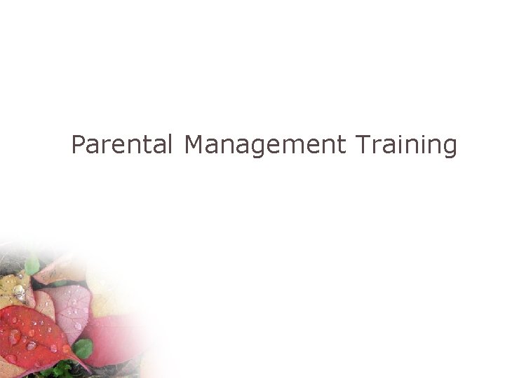 Parental Management Training 