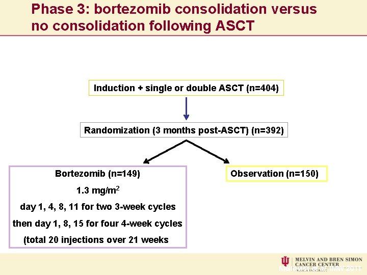 Phase 3: bortezomib consolidation versus no consolidation following ASCT Induction + single or double