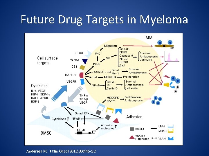 Future Drug Targets in Myeloma Anderson KC. J Clin Oncol 2012; 30: 445 -52.