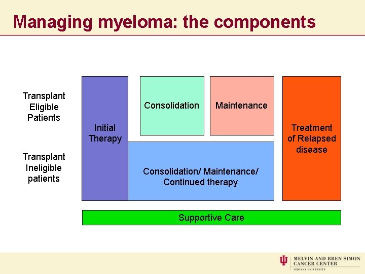 Managing myeloma: the components Transplant Eligible Patients Transplant Ineligible patients Consolidation Maintenance Initial Therapy