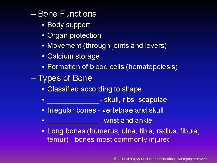 – Bone Functions • • • Body support Organ protection Movement (through joints and