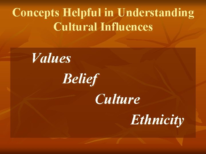 Concepts Helpful in Understanding Cultural Influences Values Belief Culture Ethnicity 