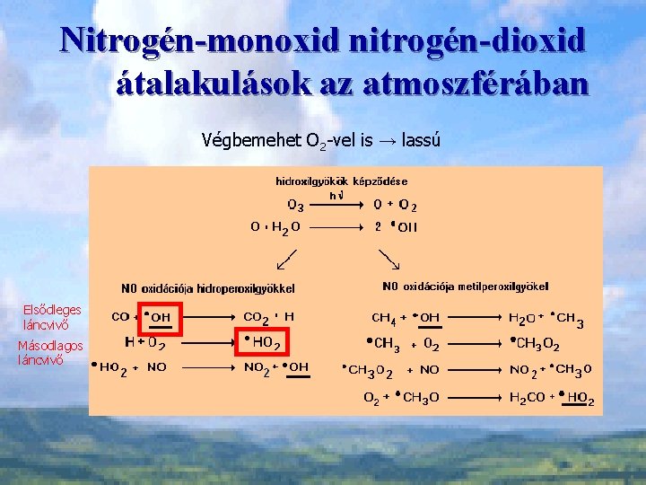 Természetes nitrogén-monoxid fogyáshoz, Zsírégetés és izomépítés az L-arginin aminósavval