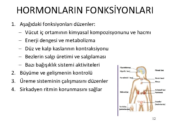HORMONLARIN FONKSİYONLARI 1. Aşağıdaki fonksiyonları düzenler: – Vücut iç ortamının kimyasal kompozisyonunu ve hacmı HORMONLARIN FONKSİYONLARI 1. Aşağıdaki fonksiyonları düzenler: – Vücut iç ortamının kimyasal kompozisyonunu ve hacmı