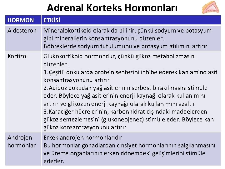 Adrenal Korteks Hormonları HORMON ETKİSİ Aldesteron Mineralokortikoid olarak da bilinir, çünkü sodyum ve potasyum Adrenal Korteks Hormonları HORMON ETKİSİ Aldesteron Mineralokortikoid olarak da bilinir, çünkü sodyum ve potasyum