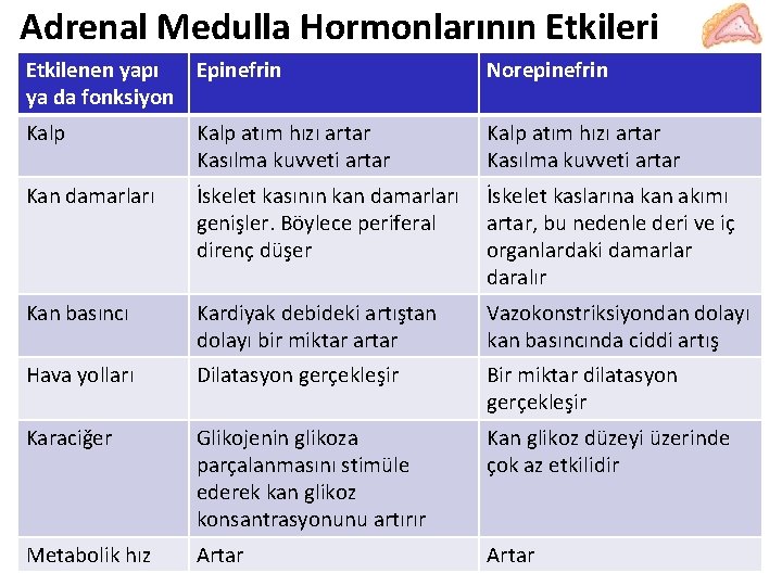 Adrenal Medulla Hormonlarının Etkileri Etkilenen yapı Epinefrin ya da fonksiyon Norepinefrin Kalp atım hızı Adrenal Medulla Hormonlarının Etkileri Etkilenen yapı Epinefrin ya da fonksiyon Norepinefrin Kalp atım hızı