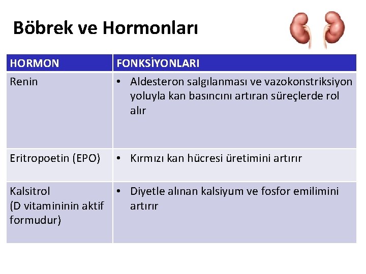 Böbrek ve Hormonları HORMON FONKSİYONLARI Renin • Aldesteron salgılanması ve vazokonstriksiyon yoluyla kan basıncını Böbrek ve Hormonları HORMON FONKSİYONLARI Renin • Aldesteron salgılanması ve vazokonstriksiyon yoluyla kan basıncını
