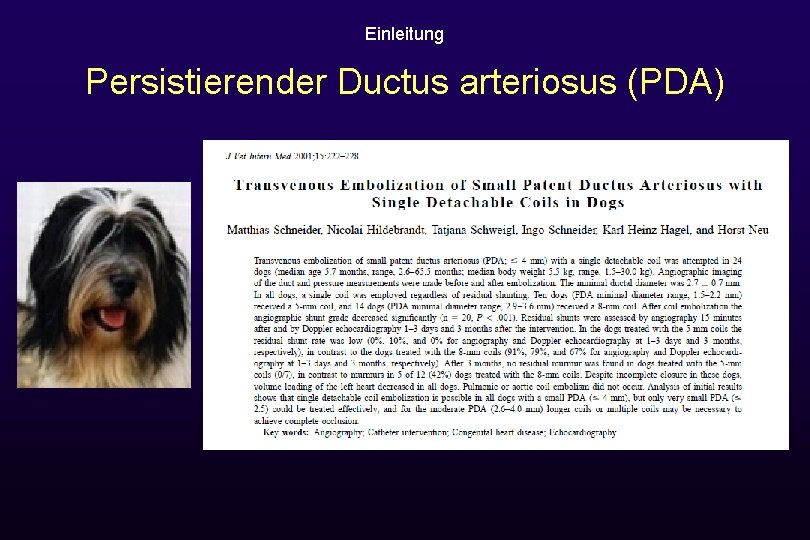 Einleitung Persistierender Ductus arteriosus (PDA) 