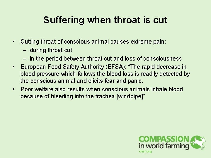 Suffering when throat is cut • Cutting throat of conscious animal causes extreme pain: Suffering when throat is cut • Cutting throat of conscious animal causes extreme pain: