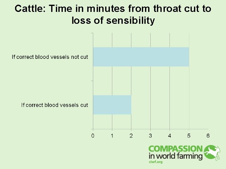 Cattle: Time in minutes from throat cut to loss of sensibility Cattle: Time in minutes from throat cut to loss of sensibility