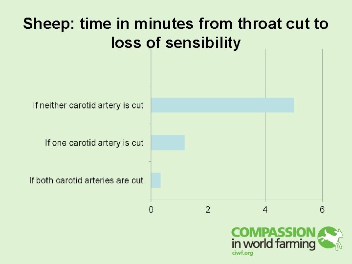 Sheep: time in minutes from throat cut to loss of sensibility Sheep: time in minutes from throat cut to loss of sensibility