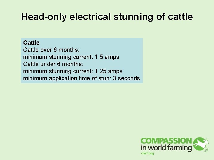 Head-only electrical stunning of cattle Cattle over 6 months: minimum stunning current: 1. 5 Head-only electrical stunning of cattle Cattle over 6 months: minimum stunning current: 1. 5