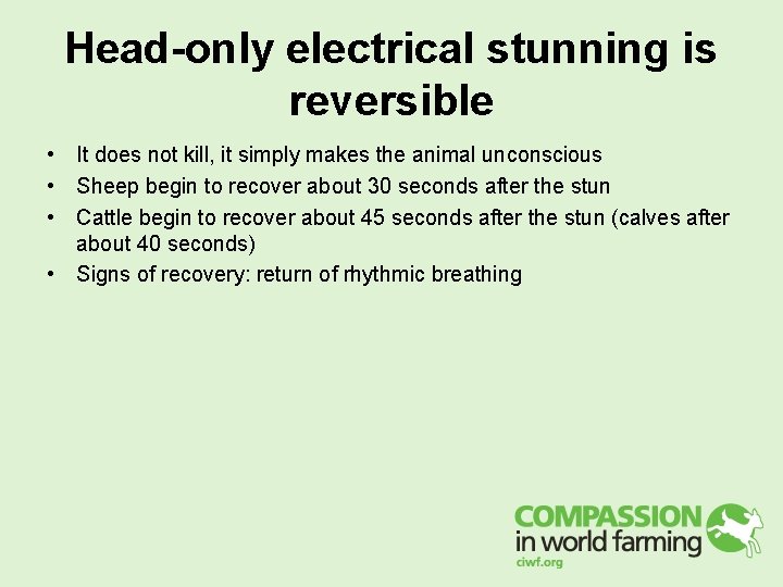 Head-only electrical stunning is reversible • It does not kill, it simply makes the Head-only electrical stunning is reversible • It does not kill, it simply makes the