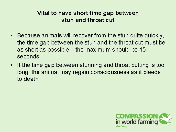 Vital to have short time gap between stun and throat cut • Because animals Vital to have short time gap between stun and throat cut • Because animals