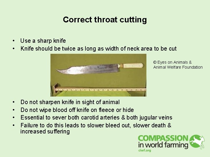 Correct throat cutting • Use a sharp knife • Knife should be twice as Correct throat cutting • Use a sharp knife • Knife should be twice as