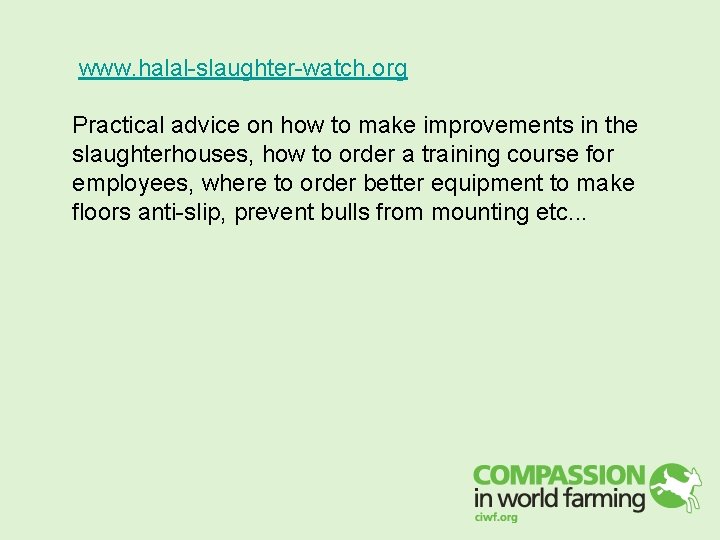 www. halal-slaughter-watch. org Practical advice on how to make improvements in the slaughterhouses, how www. halal-slaughter-watch. org Practical advice on how to make improvements in the slaughterhouses, how