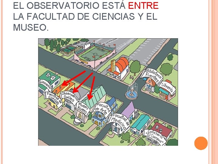 EL OBSERVATORIO ESTÁ ENTRE LA FACULTAD DE CIENCIAS Y EL MUSEO. 