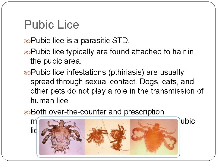 Pubic Lice Pubic lice is a parasitic STD. Pubic lice typically are found attached