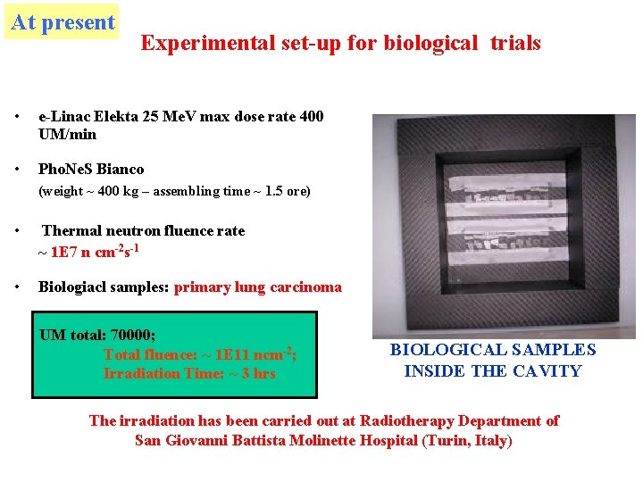 At present Experimental set-up for biological trials • e-Linac Elekta 25 Me. V max