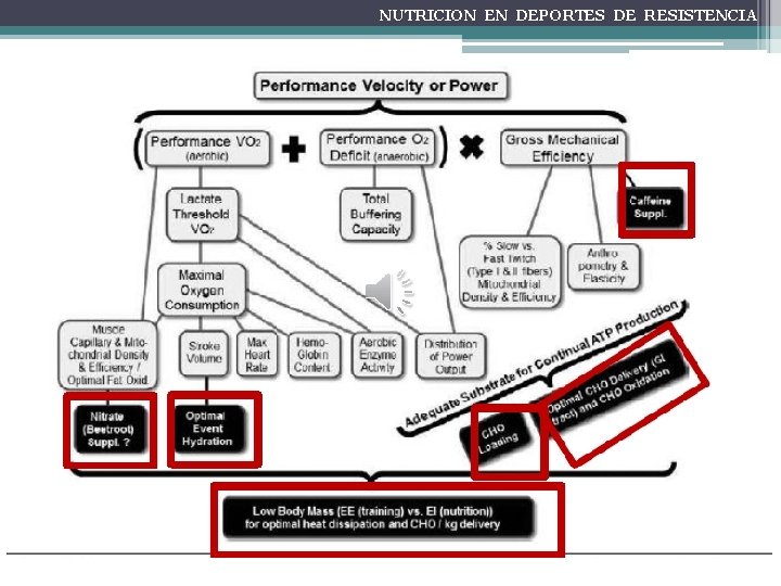 NUTRICION EN DEPORTES DE RESISTENCIA 