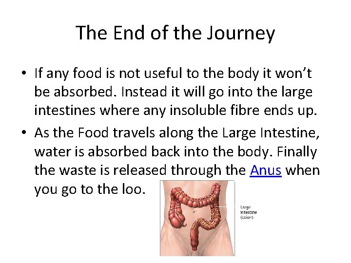 The End of the Journey • If any food is not useful to the