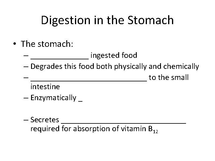 Digestion in the Stomach • The stomach: – _______ ingested food – Degrades this