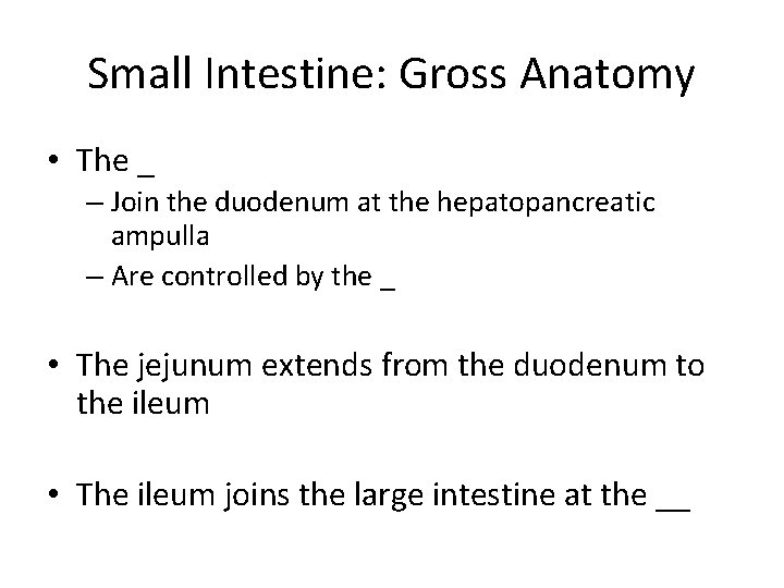 Small Intestine: Gross Anatomy • The _ – Join the duodenum at the hepatopancreatic
