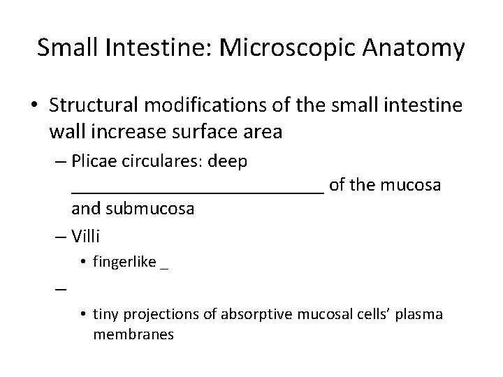 Small Intestine: Microscopic Anatomy • Structural modifications of the small intestine wall increase surface