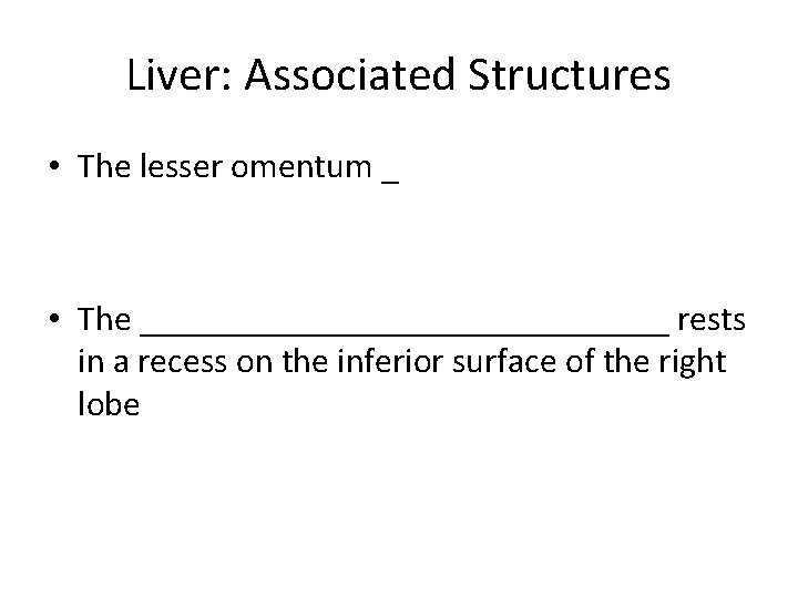 Liver: Associated Structures • The lesser omentum _ • The _______________ rests in a