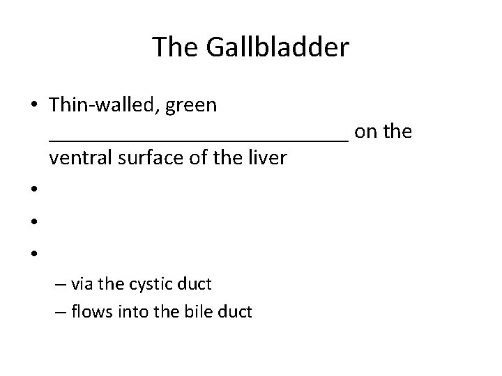 The Gallbladder • Thin-walled, green ______________ on the ventral surface of the liver •