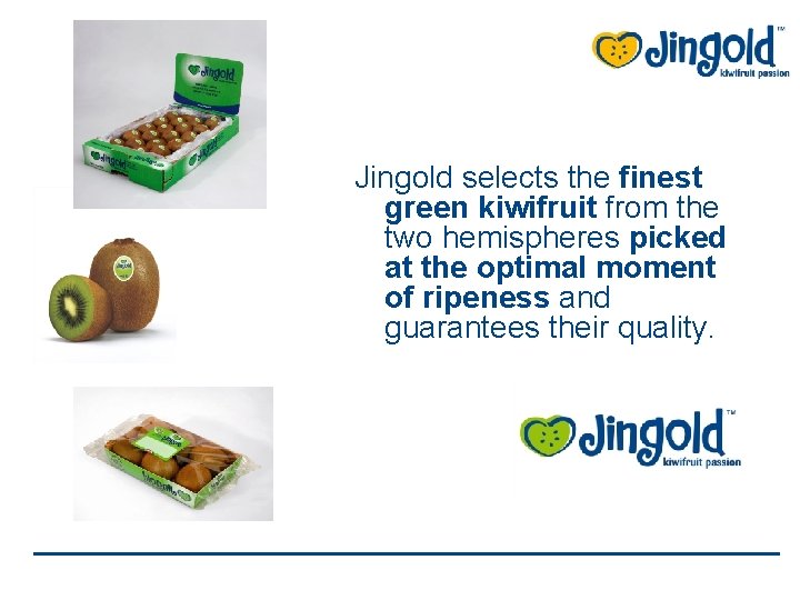 Jingold selects the finest green kiwifruit from the two hemispheres picked at the optimal