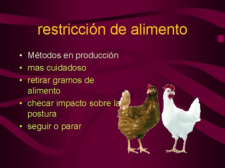 restricción de alimento • Métodos en producción • mas cuidadoso • retirar gramos de