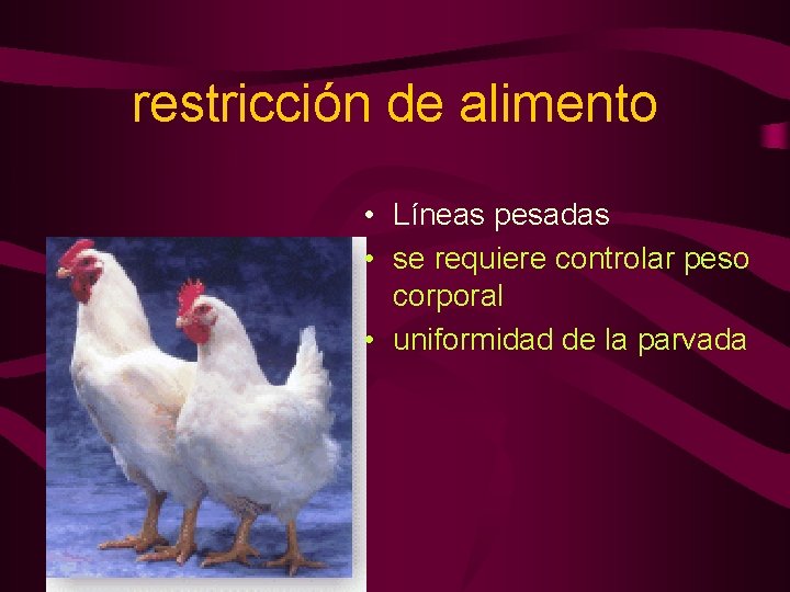 restricción de alimento • Líneas pesadas • se requiere controlar peso corporal • uniformidad