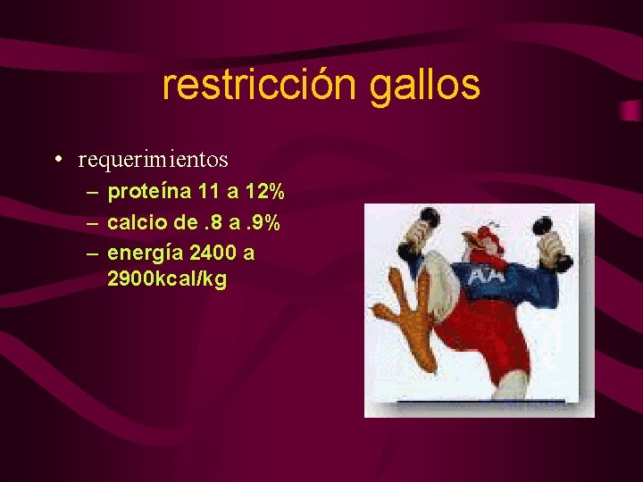 restricción gallos • requerimientos – proteína 11 a 12% – calcio de. 8 a.
