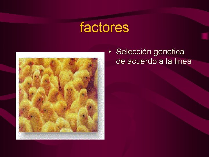 factores • Selección genetica de acuerdo a la linea 